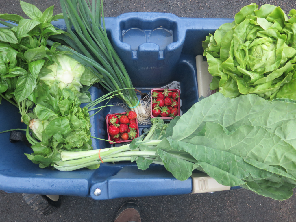 Chariot de légumes - Vegetable wagonful