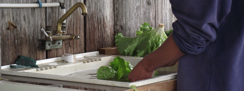 Lavage de légumes - Washing vegetables_S