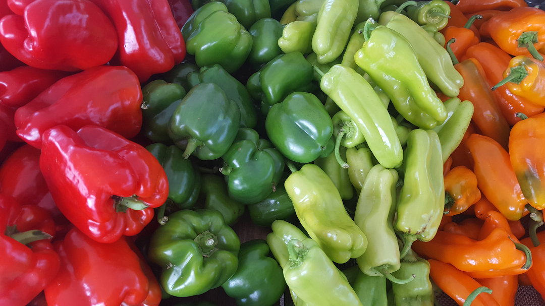 Sweet Pepper Recipes – Arlington Gardens