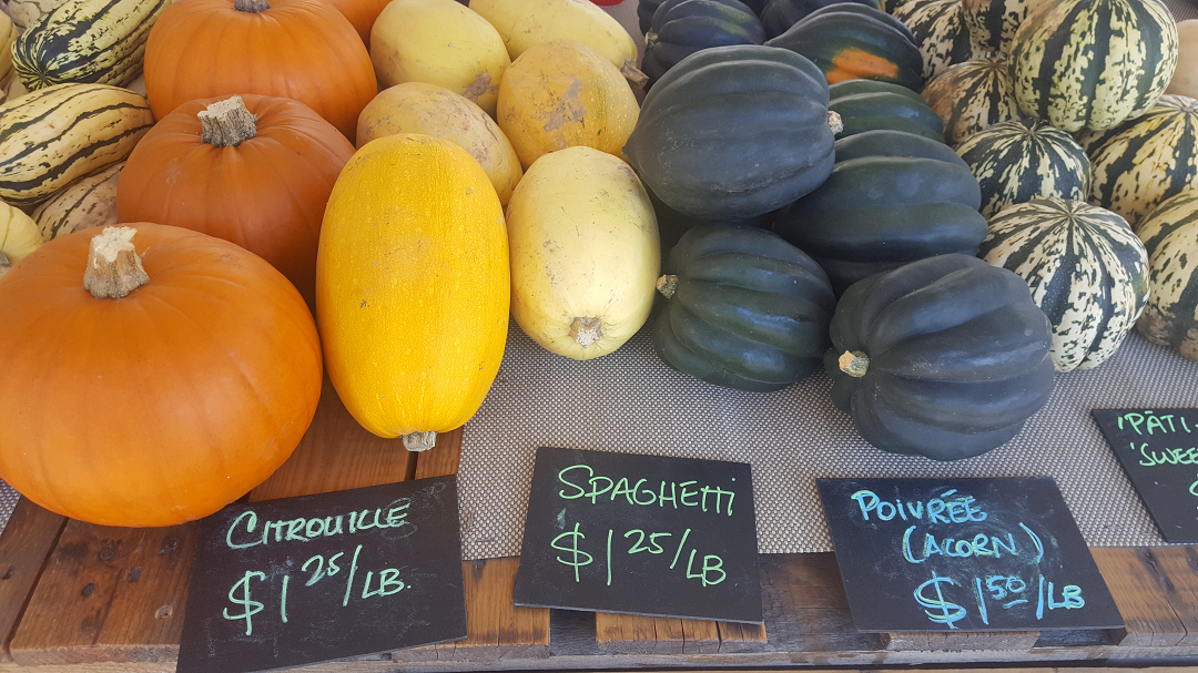 Winter Squash Recipes – Arlington Gardens