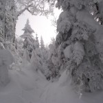 Encore plus de neige - More Snow!