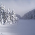 Lac Spruce - Spruce Lake