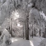 Percée de soleil - A ray of sunshine