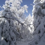 Vers Round Top - Towards Round Top