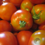 Tomates - Tomatoes